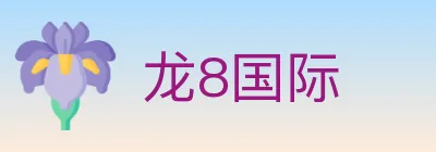 龙8国际 logo
